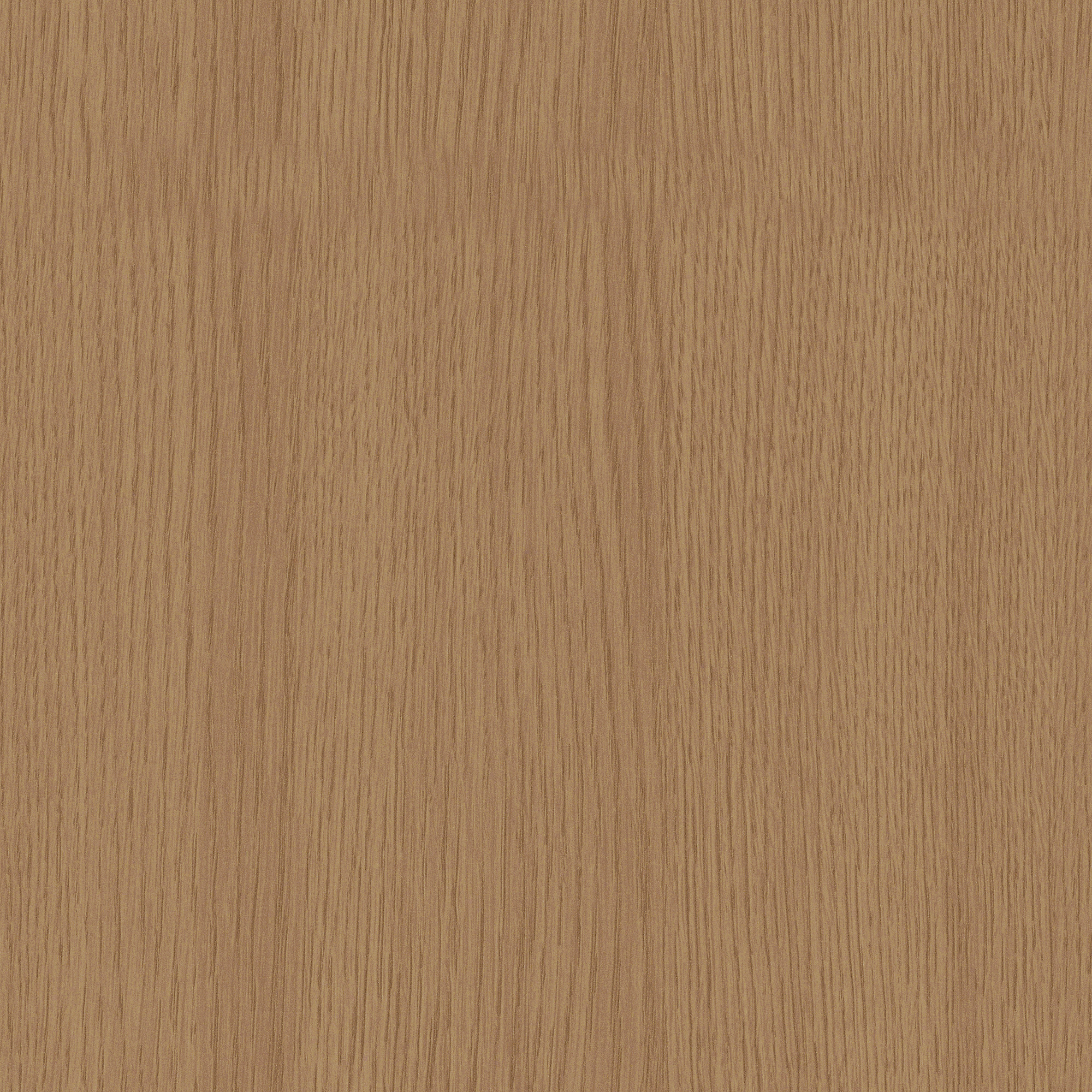 缩略图 9